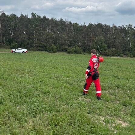 Strona główna