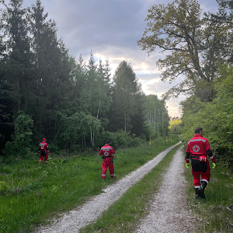 Strona główna